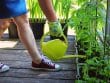 Coltivare l'orto a 60 Anni